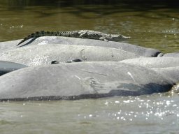 Seronera_and_Lobo2003-026